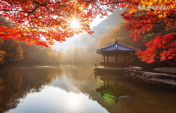 정읍내장산