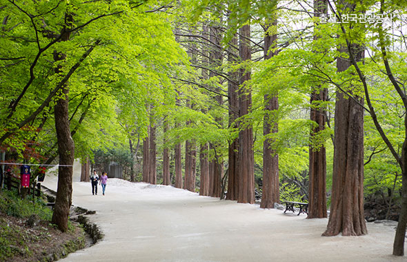 순창 강천산군립공원