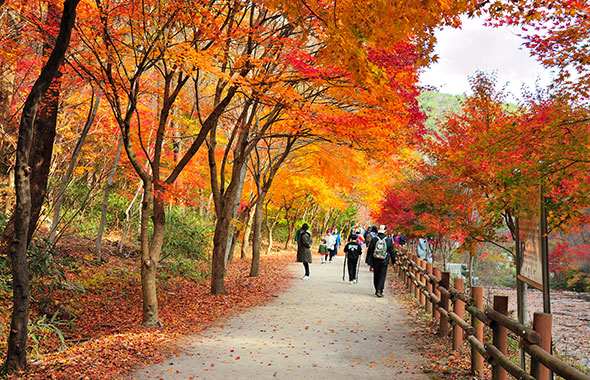 순창 강천산군립공원