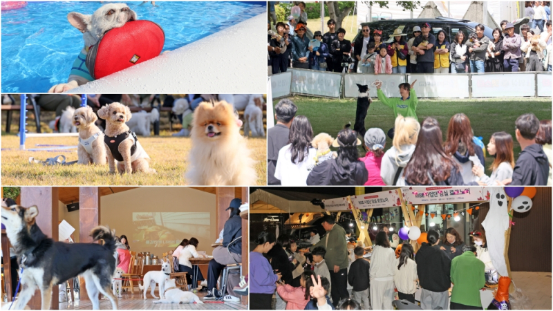 임실 오수의견 캠핑장, 반려관광 명소로 급부상