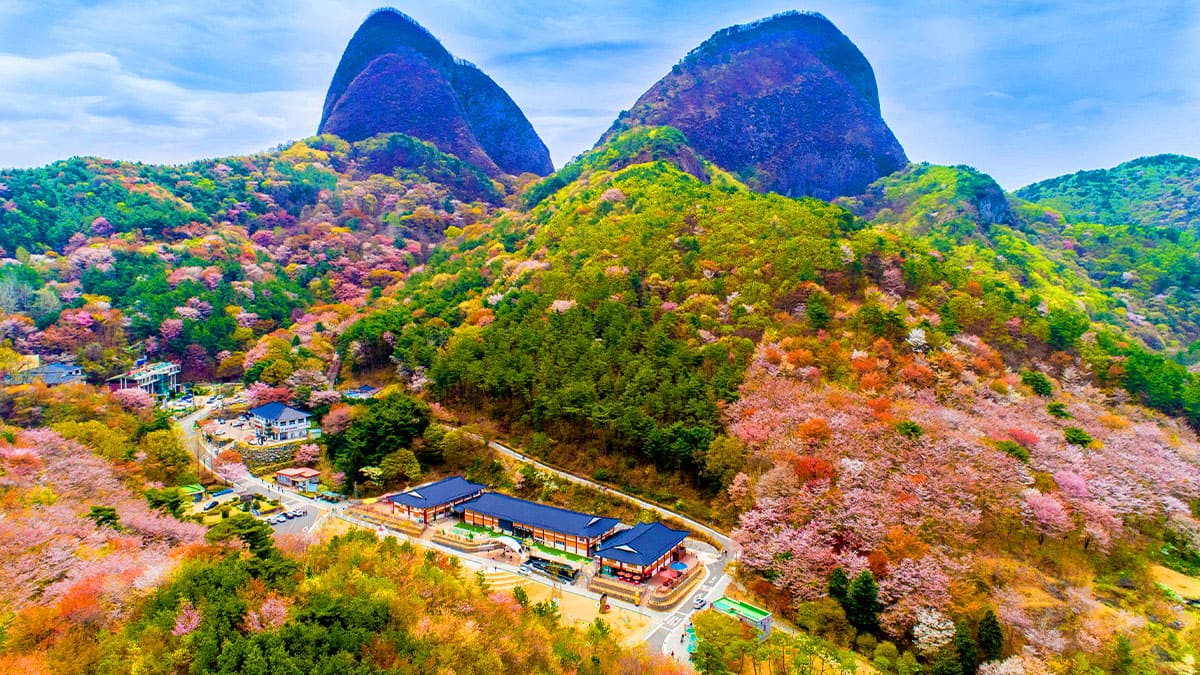 CNN이 극찬했다더니 이런 풍경이?