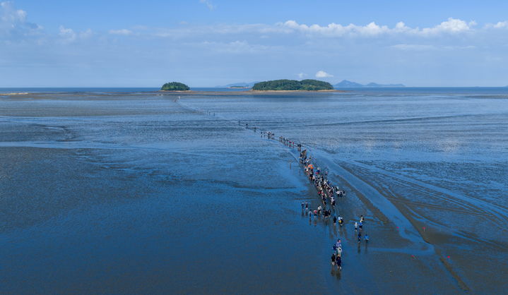 고창·부안 갯벌 생태 보전 구축…전북도 432억 투입